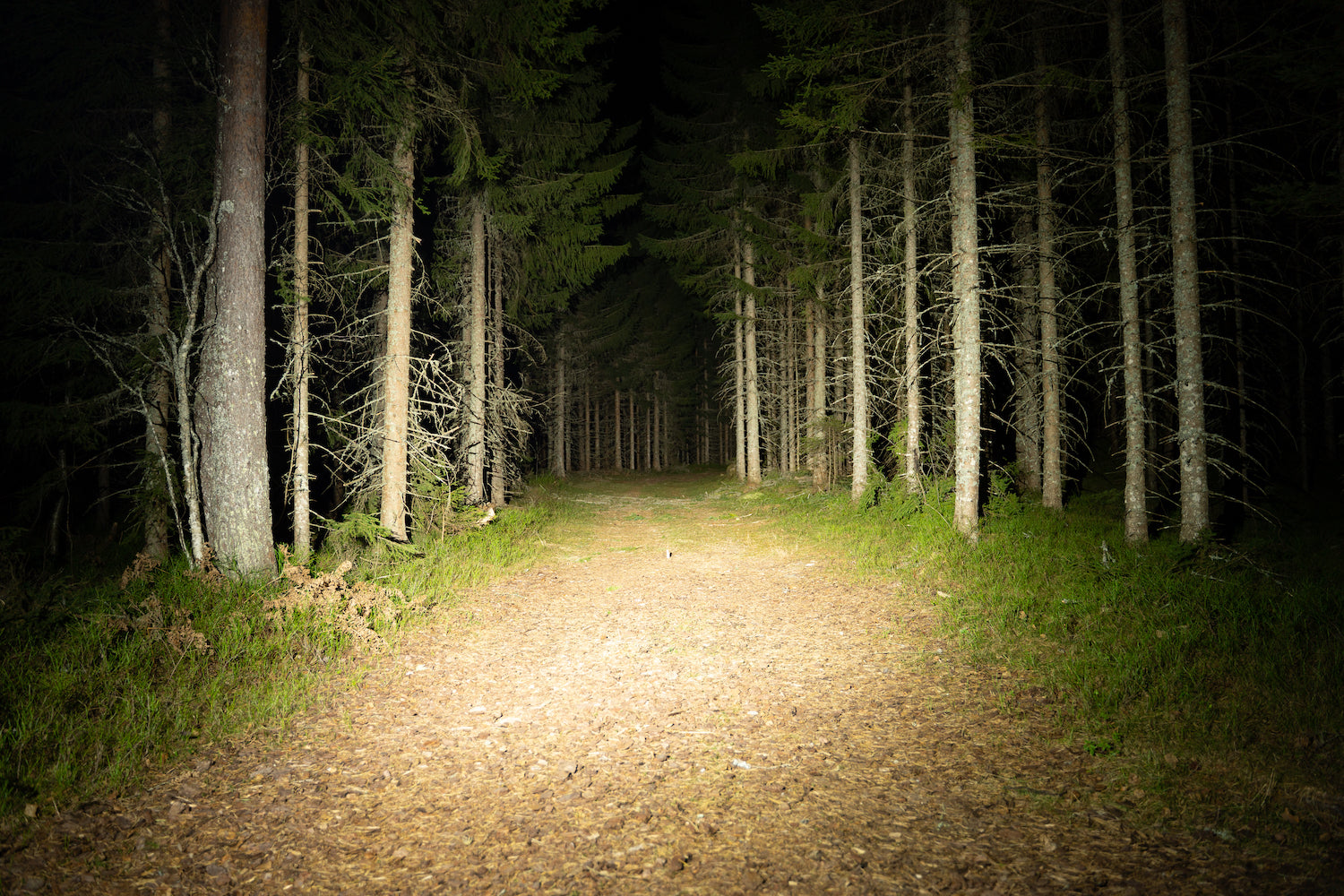 Moonlight Headlamp Guide – Moonlight Mountain Gear