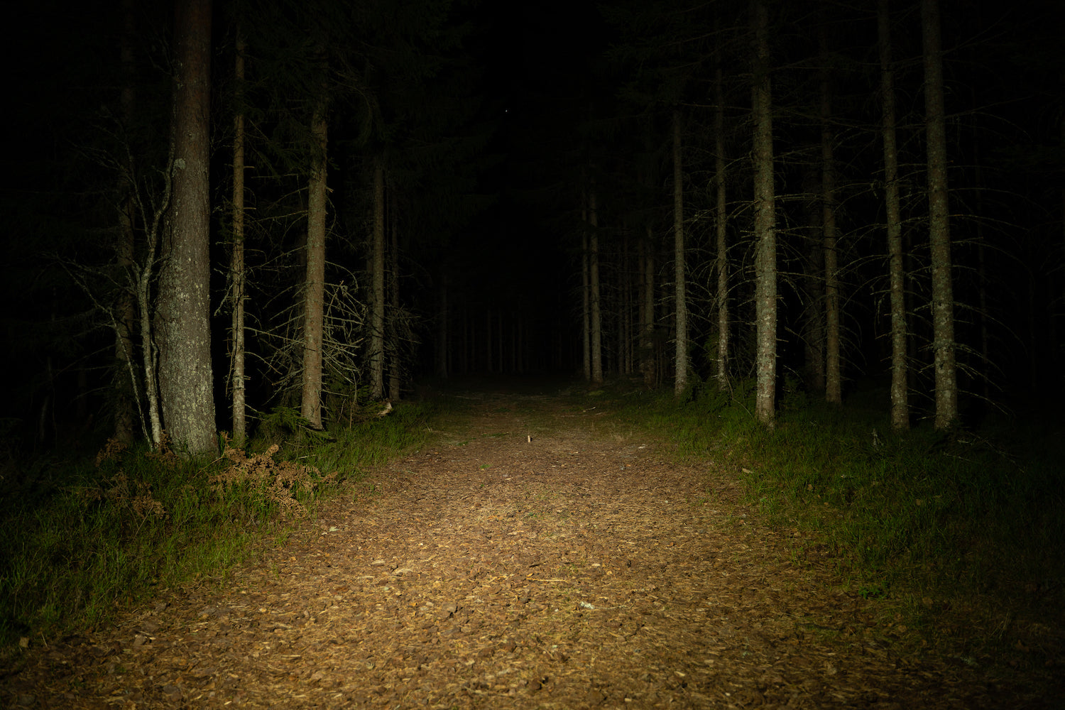 moonlight Bright As Day 800 Headlamp – Moonlight